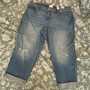 Lane Bryant Distressed Blue Boyfriend Jeans